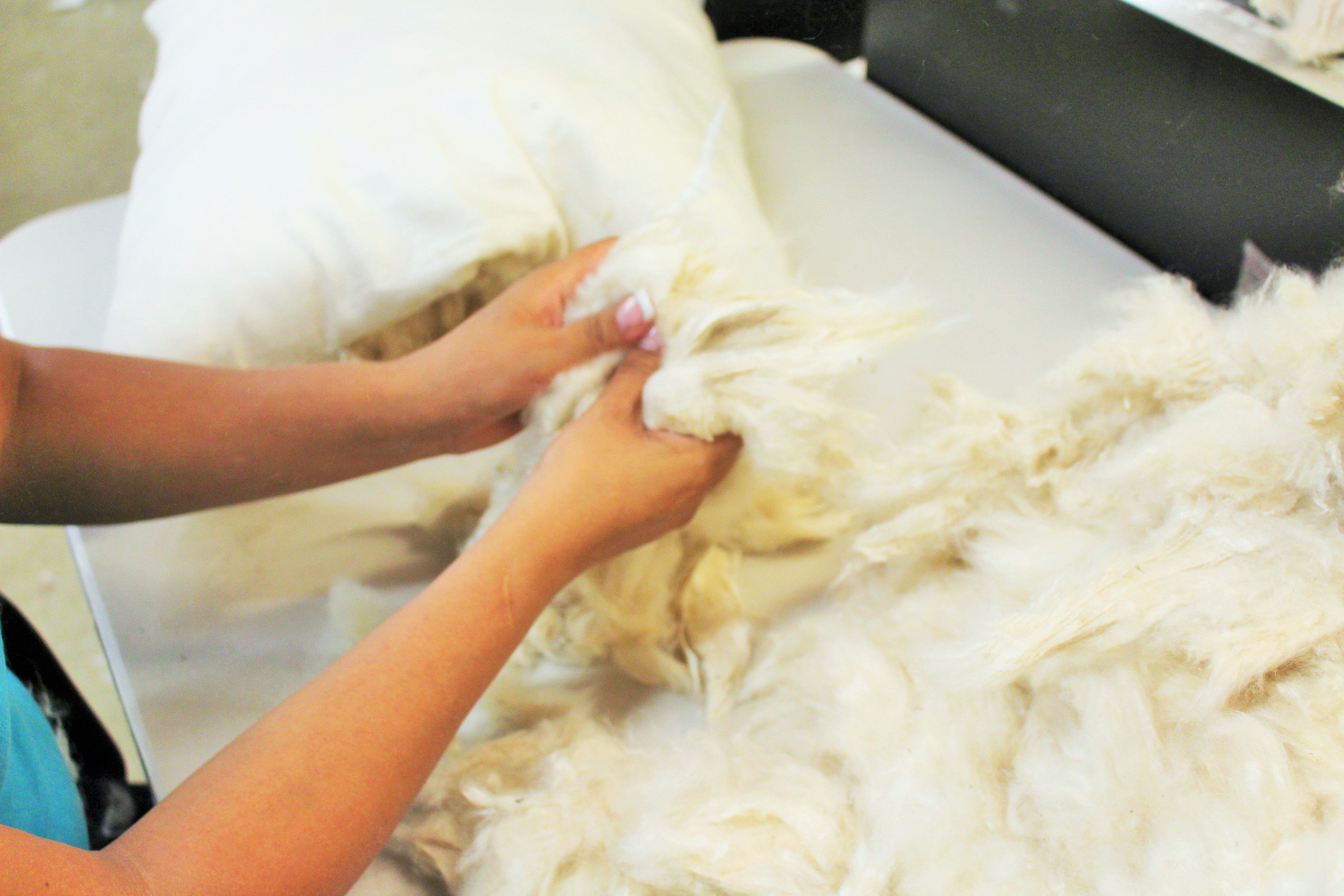 White Lotus Home Natural & Organic Bedding & Home Furnishings