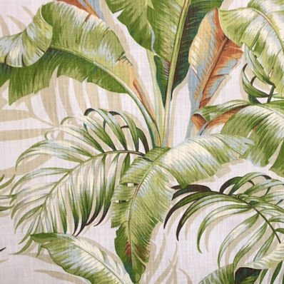 Tropical Leaves