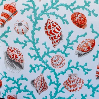 Tangerine Shells