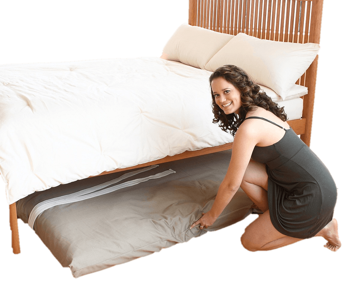 3" Stowaway Cotton Guest Beds 