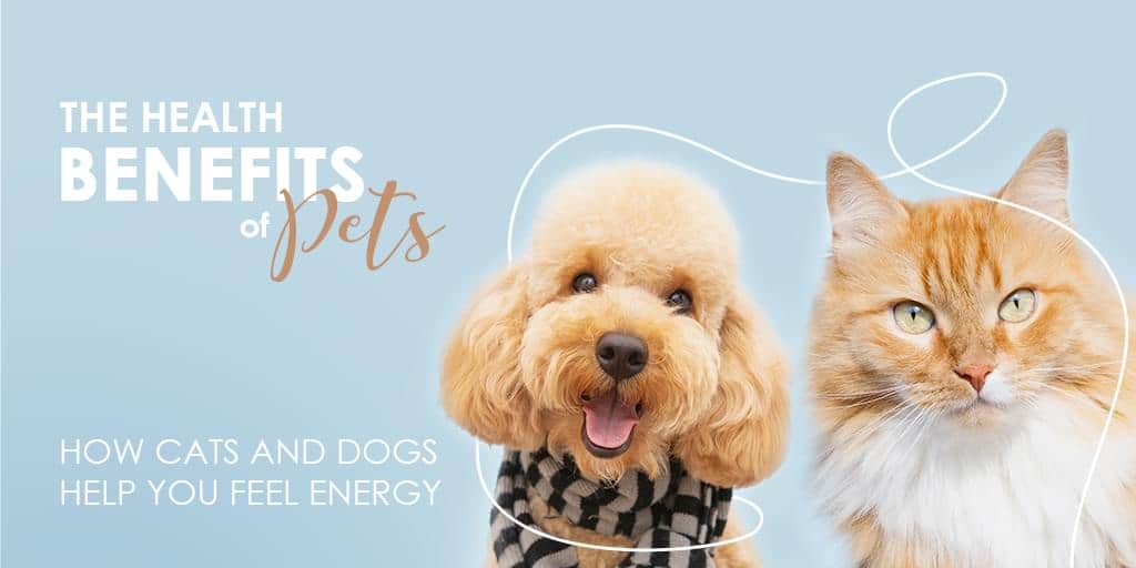Want to Feel Energized and Healthy? Why You Need a Pet