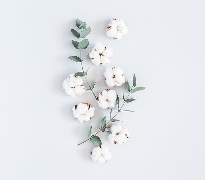 Green Tips to Refresh and increase the benefits from your Bedding
