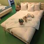 Fluffy Green Cotton Decorative Pillow Inserts