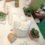 Fluffy Green Cotton Decorative Pillow Inserts