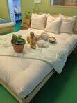 White Lotus Home Fluffy Kapok Decorative Pillow Inserts