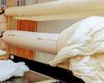 White Lotus Home GOTS Organic Cotton Sateen Fabric by the Yard in NATURAL 112" Wide