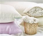 Green Cotton Decorative Pillow Inserts