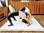 White Lotus Home Green Cotton &  Wool Boulder Dreamton Mattress