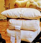 Mattress & Topper Samples
