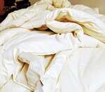 GOTS Organic Cotton Duvet - Non Washable
