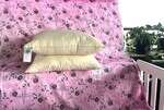 GOTS Organic Cotton Pillows