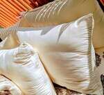 GOTS Organic Cotton Pillows
