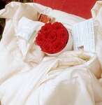 GOTS Organic Wool Duvet - Non Washable