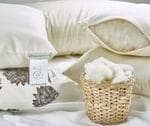 GOTS Organic Wool Pillows