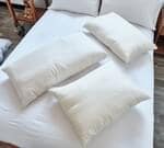 GOTS Organic Wool Pillows