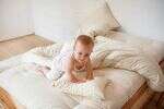 White Lotus Home Pure Cotton & Wool Foam Dreamton Mattress