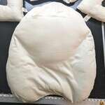 The Billow (breast+pillow) - Kapok