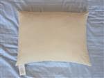 Travel Pillows