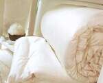 White Lotus Home Washable Wool Duvet 