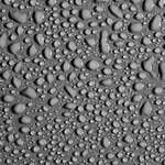 GOTS Washable & Waterproof Organic Fitted Mattress Protector