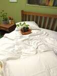GOTS White Organic Cotton Sateen Sheets