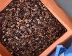 White Lotus Home Wholesale Buckwheat