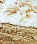 Wholesale Natural Kapok