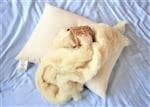 Wool Pillows